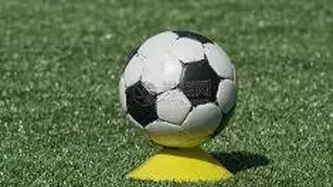 杭州推出政策：足球人才同享“高层次人才”评定待遇