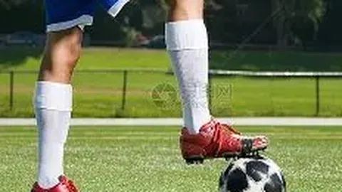 威廉希尔 (WilliamHill)官网app 产品 104239 h7e