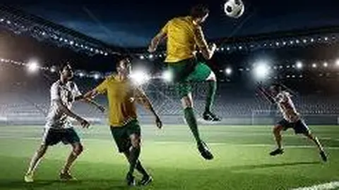 衡阳政协提案助力公共体育服务：聚焦设施短板，落地回访成效显著