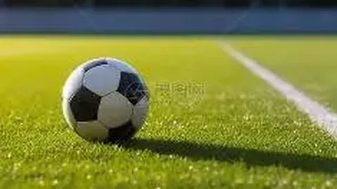 威廉希尔 (WilliamHill)官网app 产品 094547 2w2