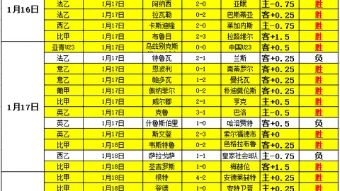 大乐透期号专家质合分析：望加锡对培斯塔坦格朗胜负预测